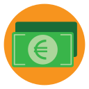 Euro icon