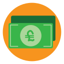 Lira icon
