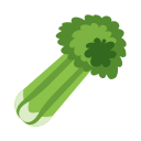 céleri 