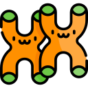 cromosoma icon