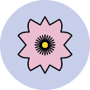 sakura icon