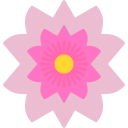 sakura icon