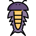 insecto icon