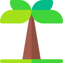 palmera icon