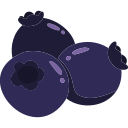 Blueberry icon