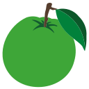 Guava icon