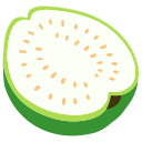 Guava icon