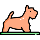 terrier escocés icon