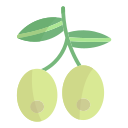 olivos icon