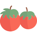 tomates icon