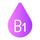 b1 