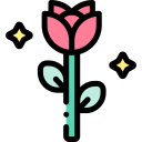 rosa icon