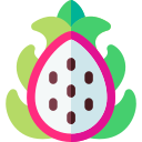 dragon de fruta icon