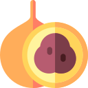 granadilla icon