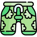 Shorts icon