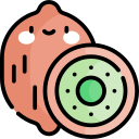 Kiwi icon