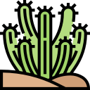 cactus icon
