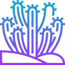 cactus icon