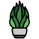 aloe vera icon