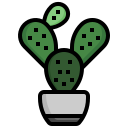 cactus icon