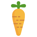 zanahoria icon