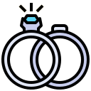 anillo icon