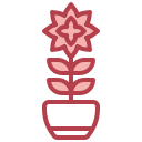 ixora icon