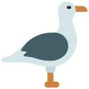 gaviota icon