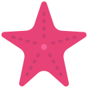 estrella de mar icon