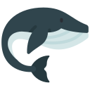 ballena icon