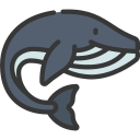 ballena icon