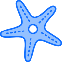 estrella de mar