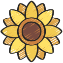 girasol