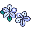 frangipani icon