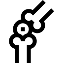 ossos 