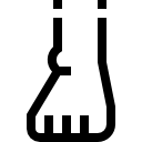 피트 