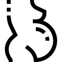 grávida 