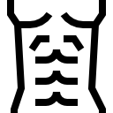 abdômen 