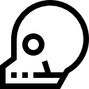 Skull 