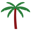 palmera icon