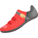 zapato icon