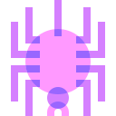 araña icon