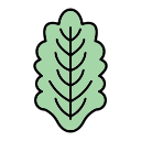 lechuga icon