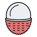 lychee icon