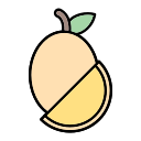 Sapodilla icon