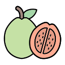 guayaba icon