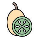 kiwi icon