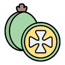 feijoa icon