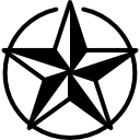 estrella dentro de un círculo icon