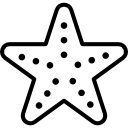 estrella de mar con puntos icon